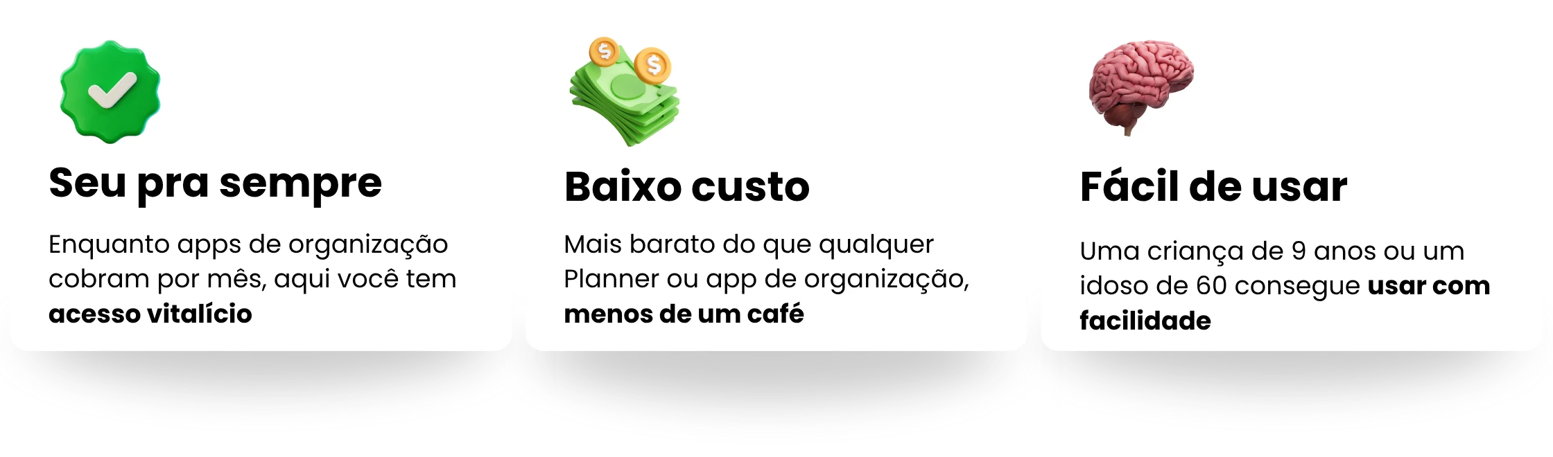 topicosapporganizador